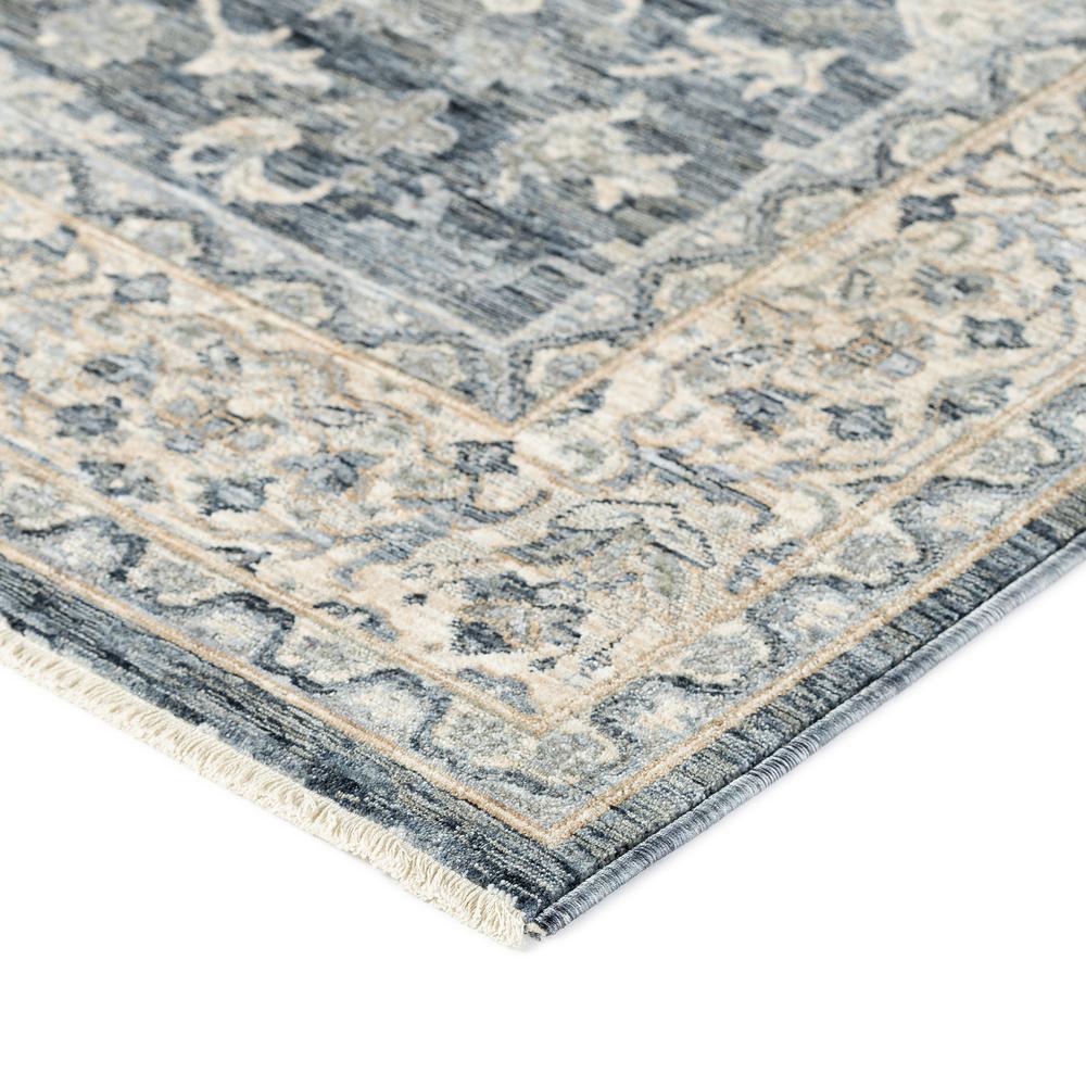 Regal RG3 Denim 2'3" x 7'10" Rug. Picture 2