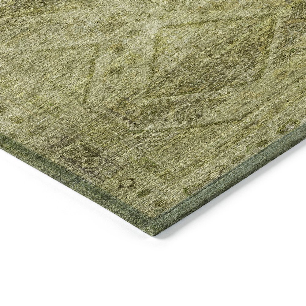 Machine Washable Indoor/Outdoor Chantille ACN2060 Aloe 2'6" x 3'10" Rug. Picture 3
