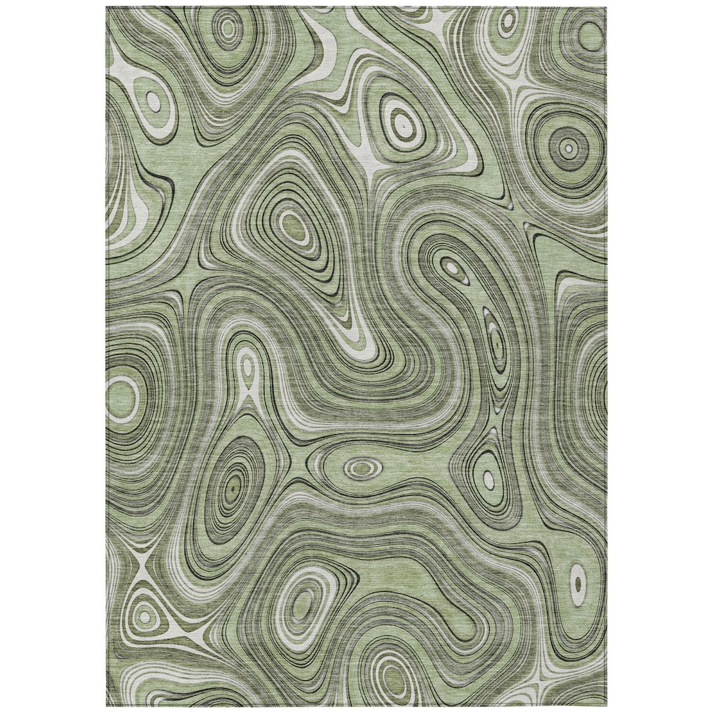 Machine Washable Indoor/Outdoor Chantille ACN2097 Aloe 5' x 7'6" Rug. Picture 1
