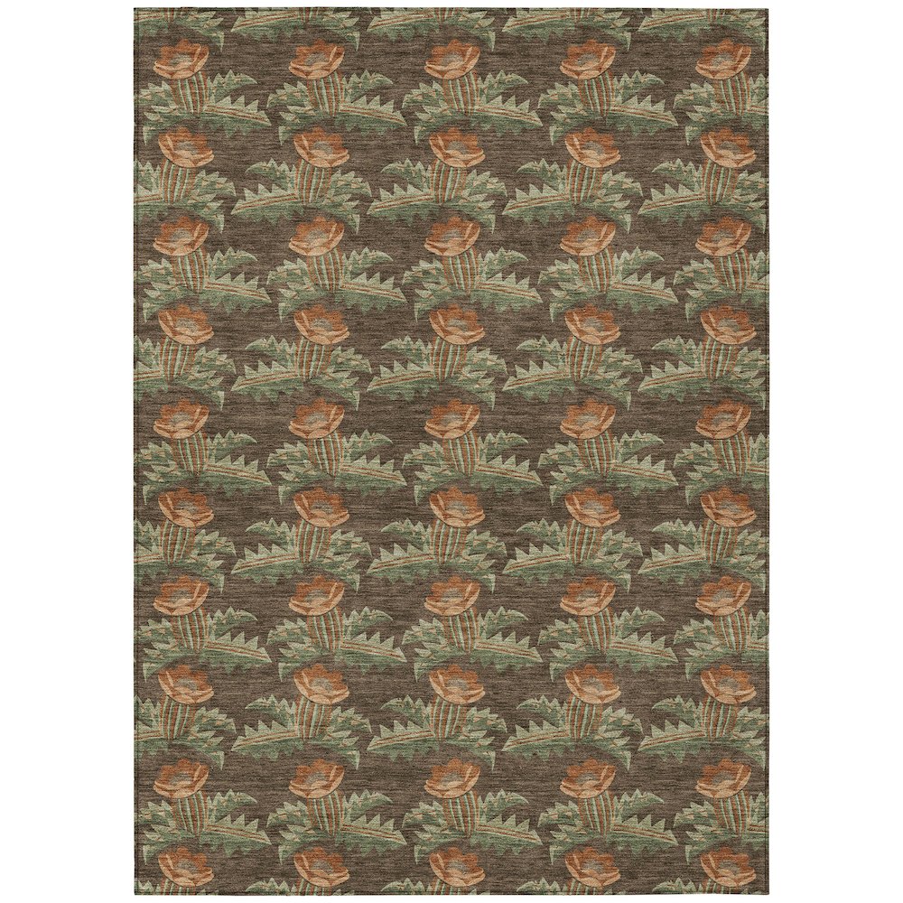 Machine Washable Indoor/Outdoor Chantille ACN2684 Brown 5' x 7'6" Rug. Picture 1