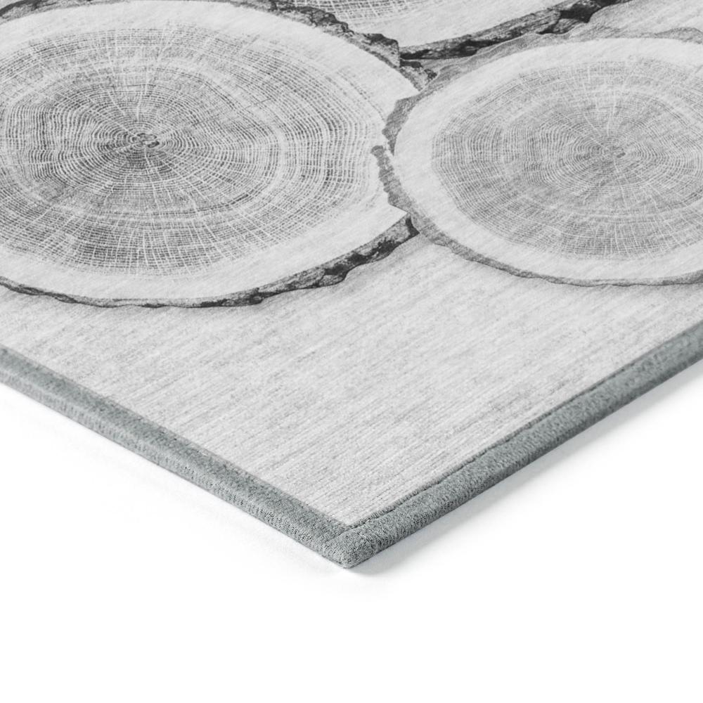 Chantille ACN575 Gray 2'6" x 3'10" Rug. Picture 3