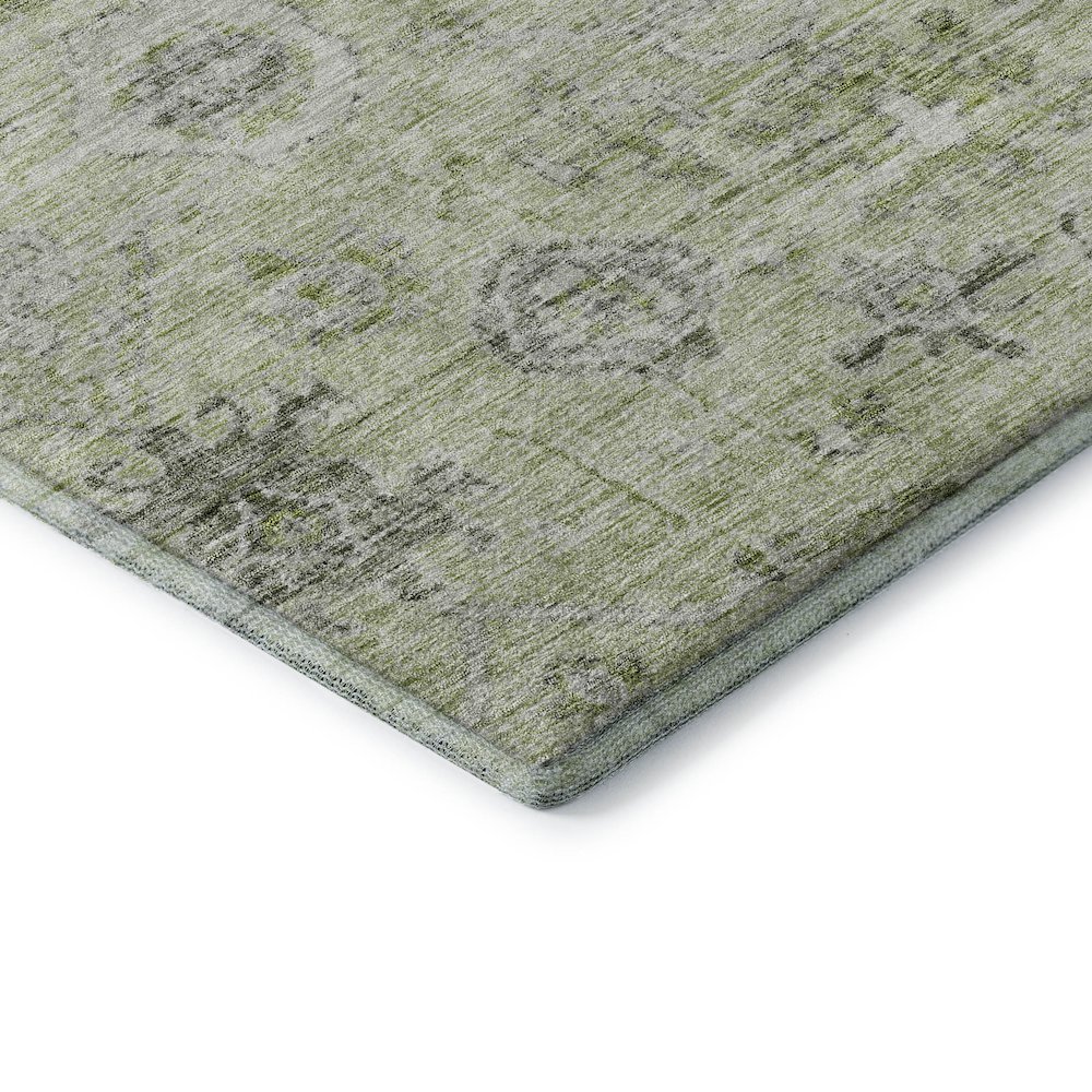 Premium Machine Washable Mayfield AMF1110 Aloe 2'6" x 3'10" Rug. Picture 3