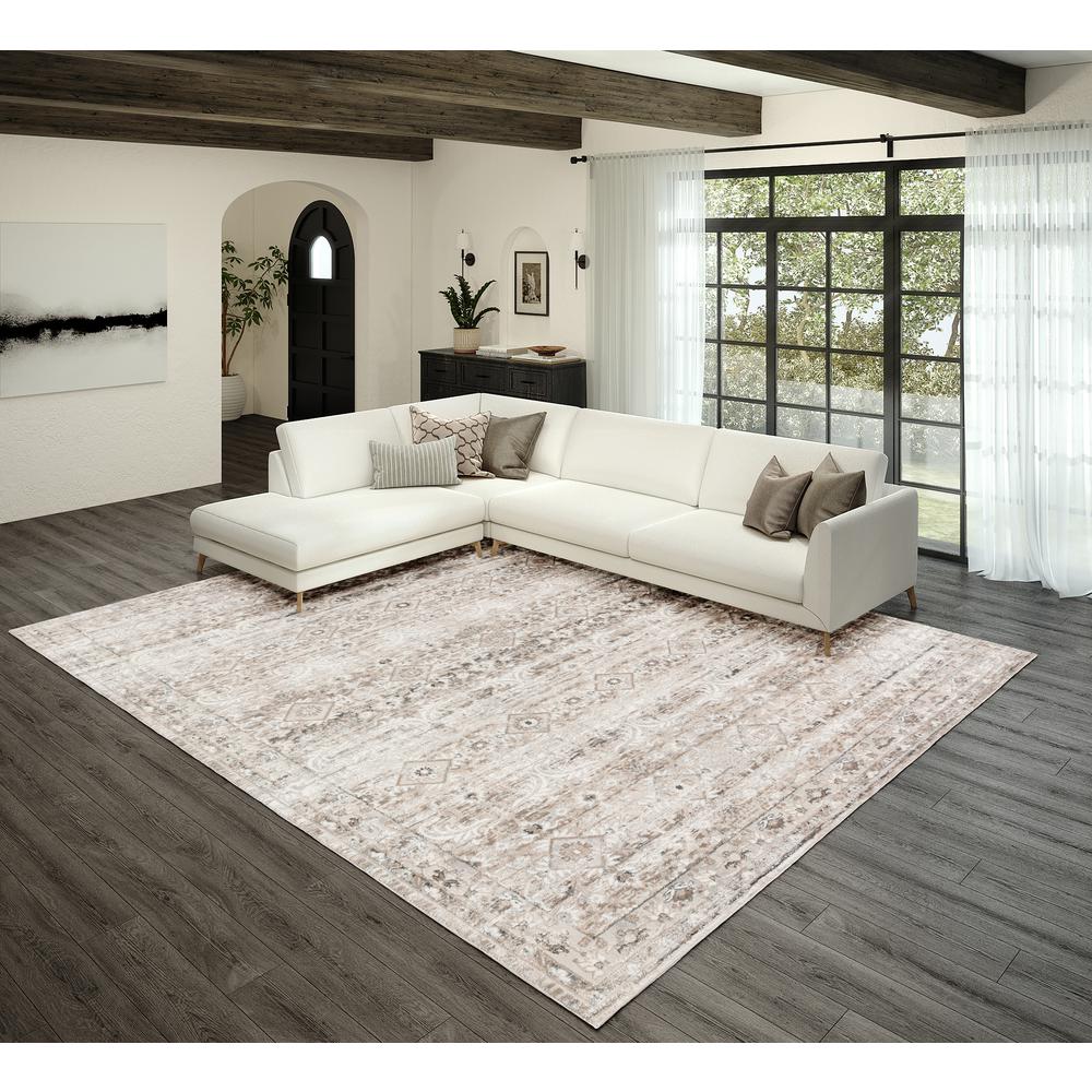 Rhodes RR7 Taupe 7'10" x 10' Rug. Picture 2