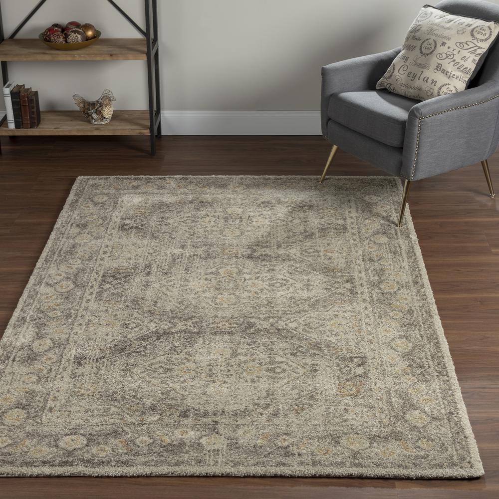 Fresca FC4 Taupe 7'10" x 10'7" Rug. Picture 2