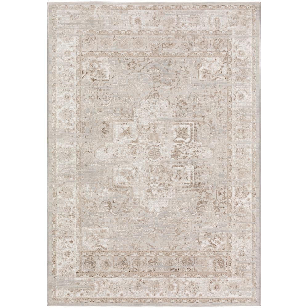 Rhodes RR6 Taupe 7'10" x 10' Rug. Picture 1