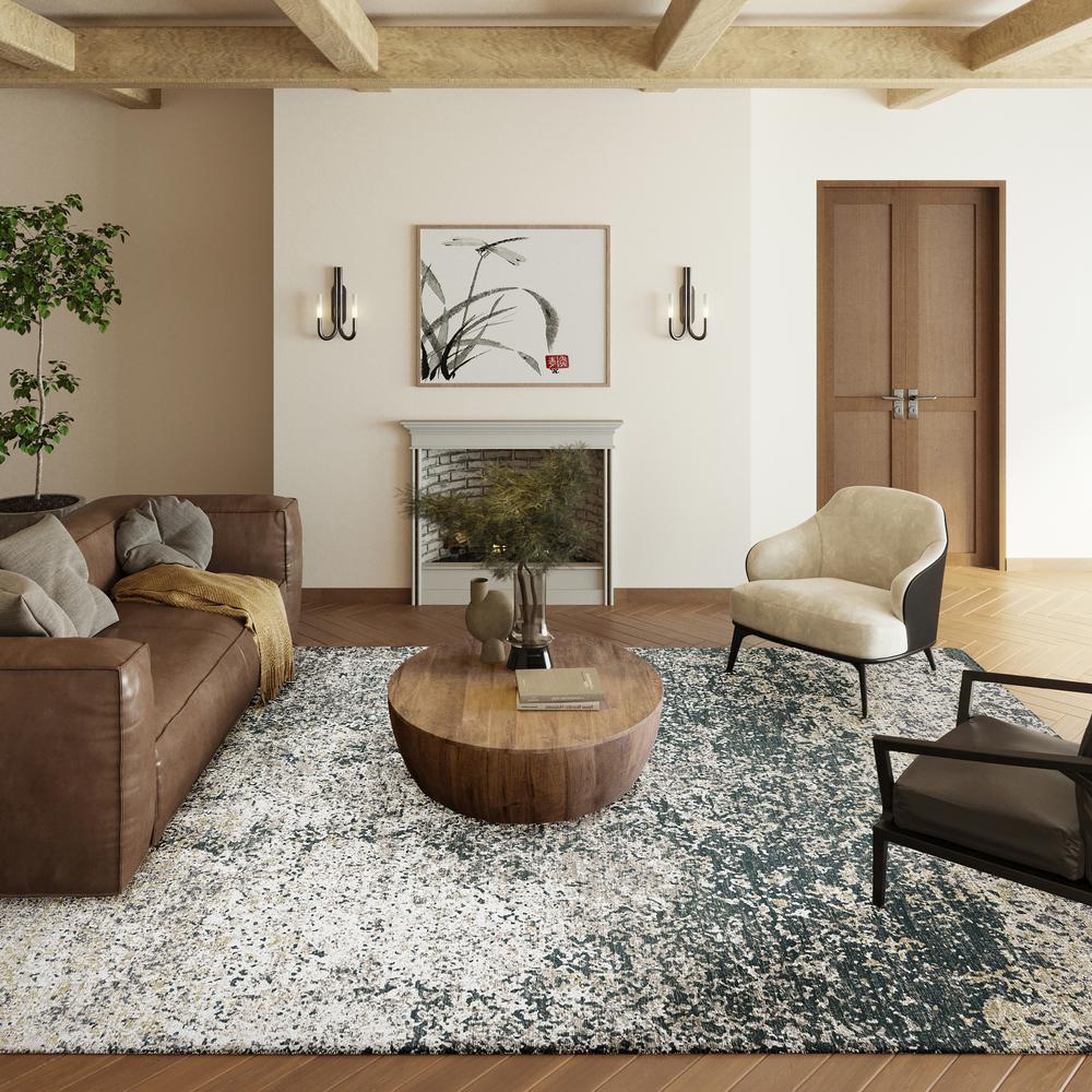 Rylee Gray Transitional Abstract 3' x 5' Area Rug Gray ARY33. Picture 1