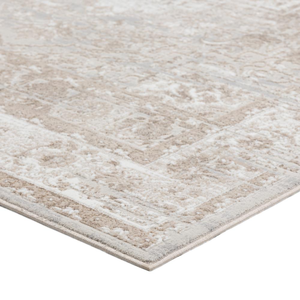 Rhodes RR6 Taupe 7'10" x 10' Rug. Picture 4