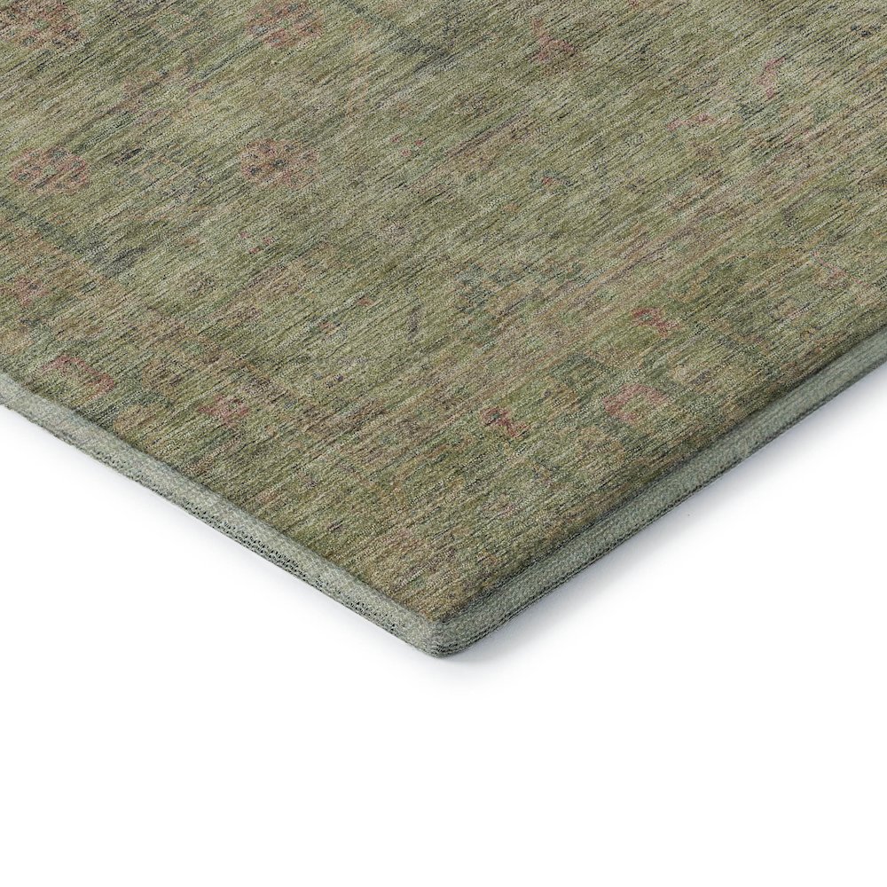 Luxury Washable Indoor/Outdoor Ravenna Aloe 2'6" x 3'10" Rug. Picture 2