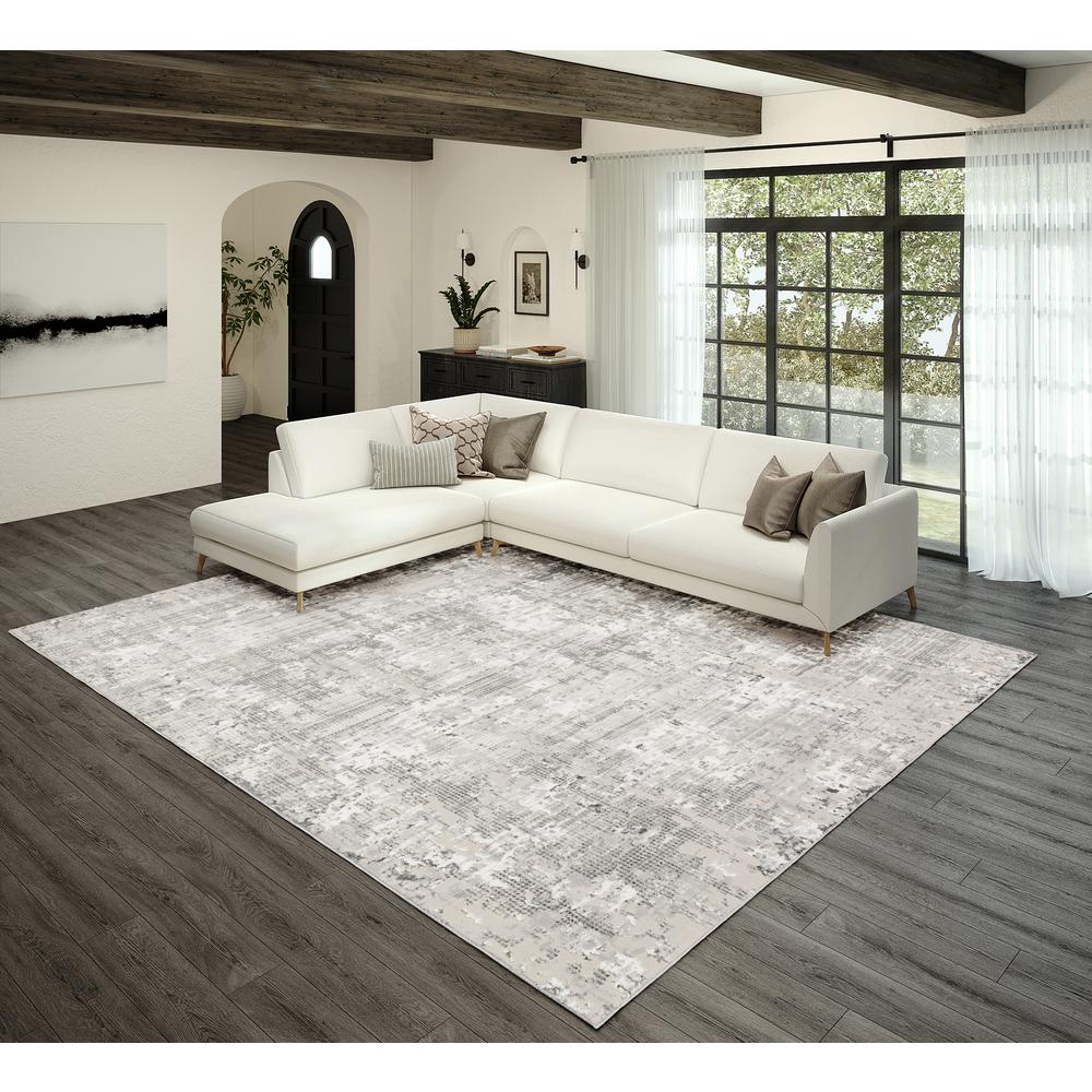 Rhodes RR3 Silver 7'10" x 10' Rug. Picture 2