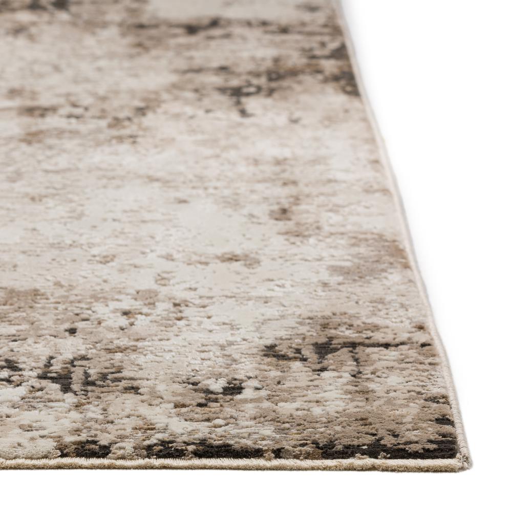 Denizi DZ2 Putty 7'10" x 10' Rug. Picture 6