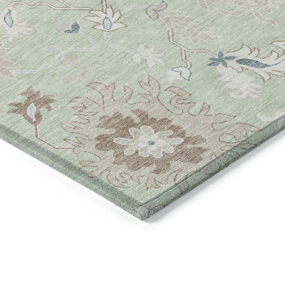 Machine Washable Indoor/Outdoor Chantille Aloe 3' x 5' Rug. Picture 3