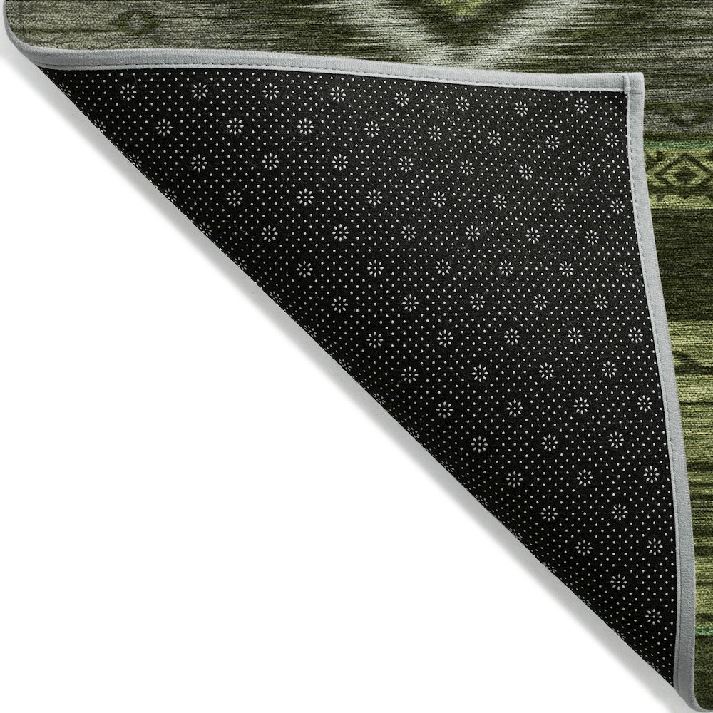 Machine Washable Indoor/Outdoor Chantille Aloe 3' x 5' Rug. Picture 2