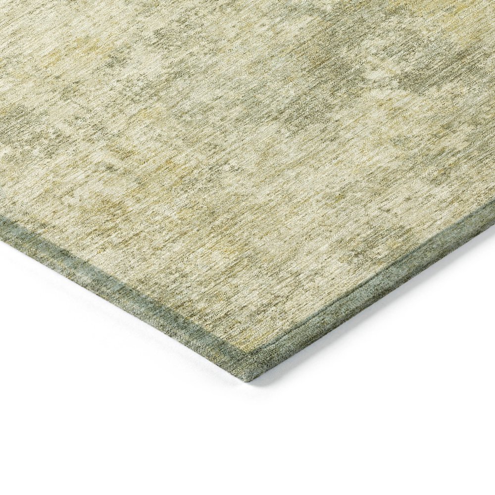 Machine Washable Indoor/Outdoor Chantille ACN2061 Sage 3' x 5' Rug. Picture 3