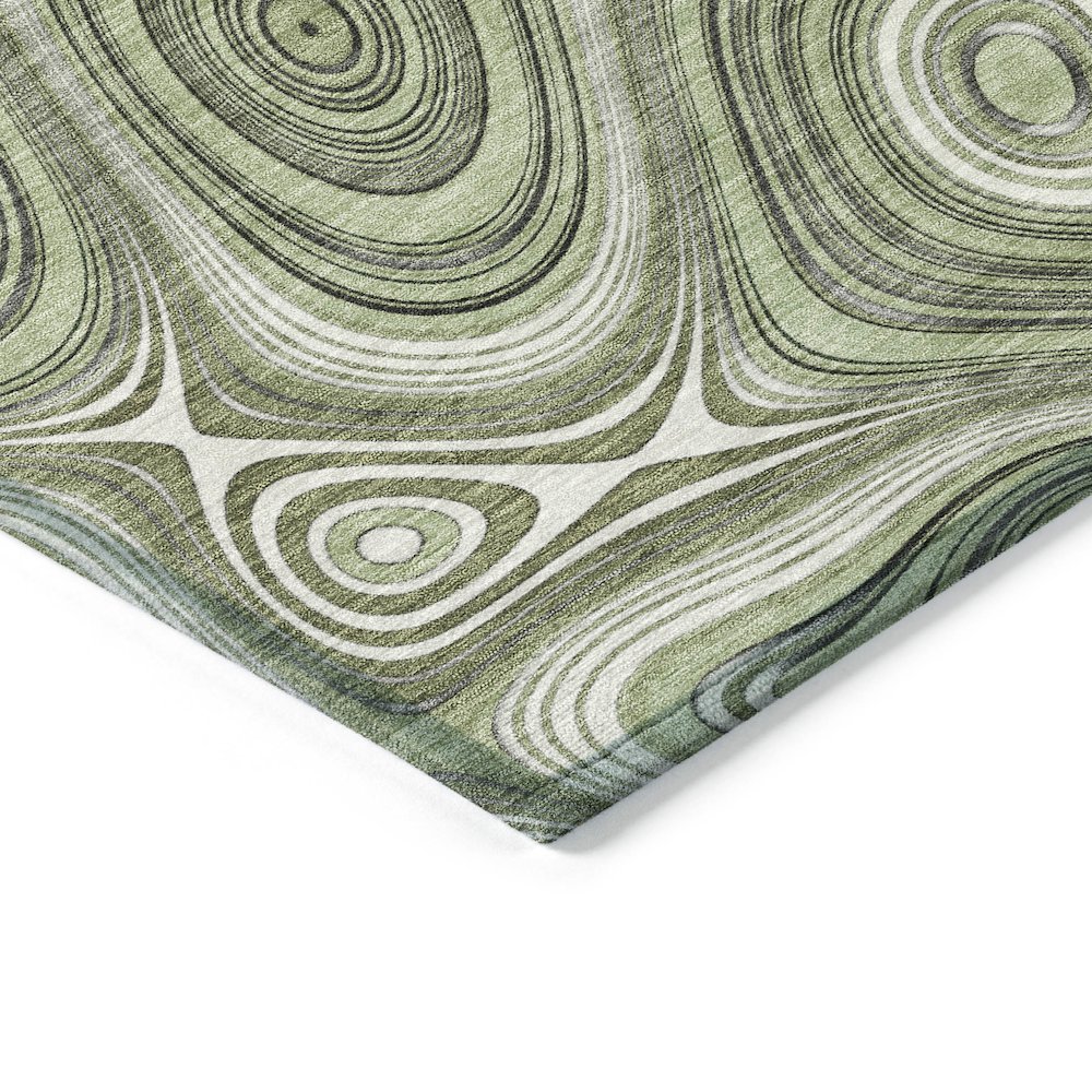 Machine Washable Indoor/Outdoor Chantille ACN2097 Aloe 3' x 5' Rug. Picture 3