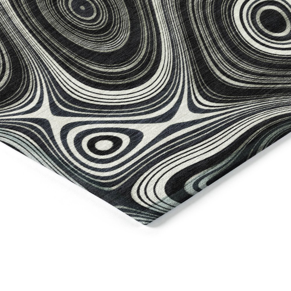 Machine Washable Indoor/Outdoor Chantille ACN2097 Black 3' x 5' Rug. Picture 3