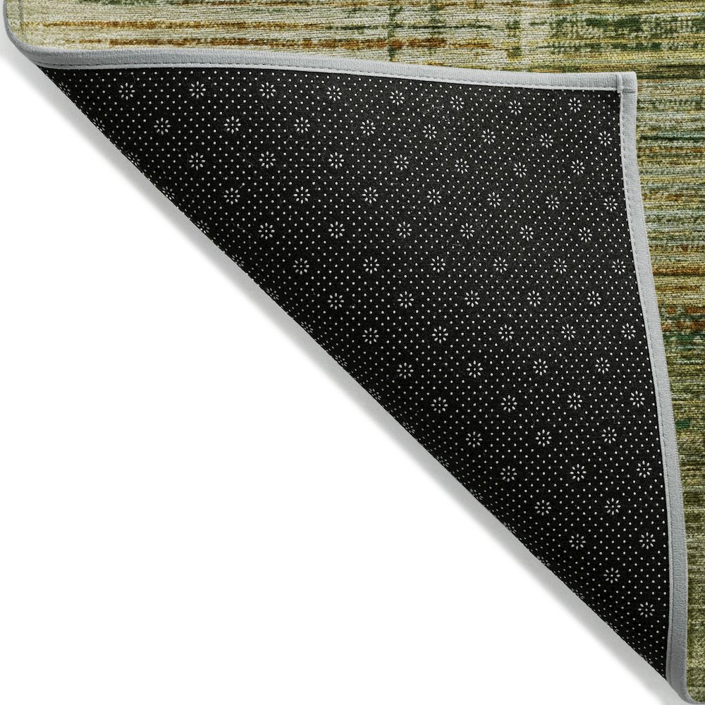 Machine Washable Indoor/Outdoor Chantille ACN2149 Aloe 3' x 5' Rug. Picture 2