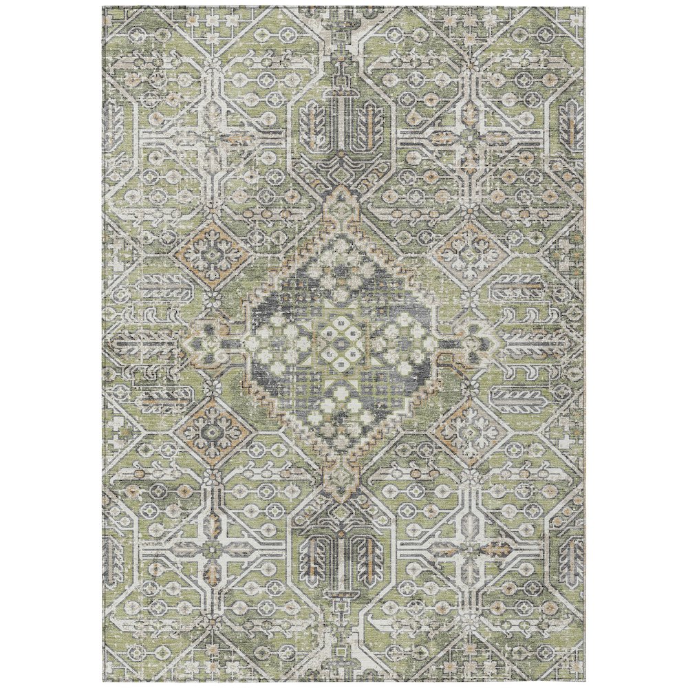 Machine Washable Indoor/Outdoor Chantille ACN2197 Aloe 8' x 10' Rug. Picture 1