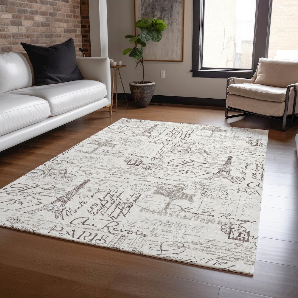 Machine Washable Indoor/Outdoor Chantille ACN2209 Linen 8' x 10' Rug. Picture 5