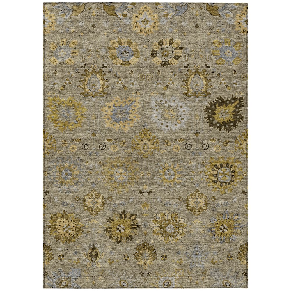 Machine Washable Indoor/Outdoor Chantille ACN2289 Brown 8' x 10' Rug. Picture 1