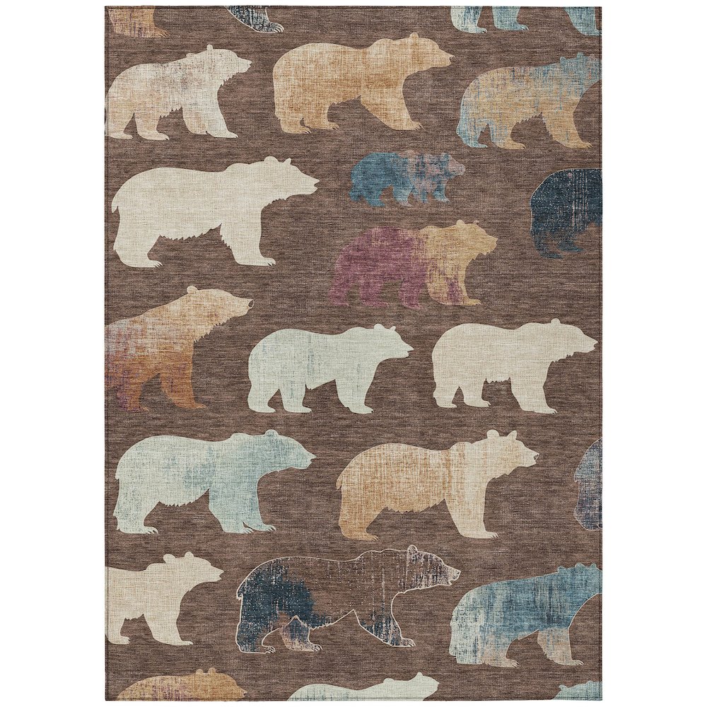 Machine Washable Indoor/Outdoor Chantille ACN2338 Brown 8' x 10' Rug. Picture 1
