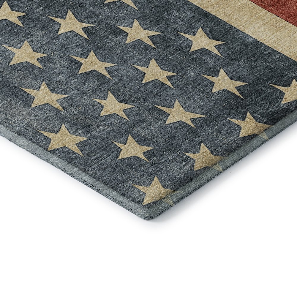 Machine Washable Indoor/Outdoor Americana Red 3' x 5' Rug. Picture 2