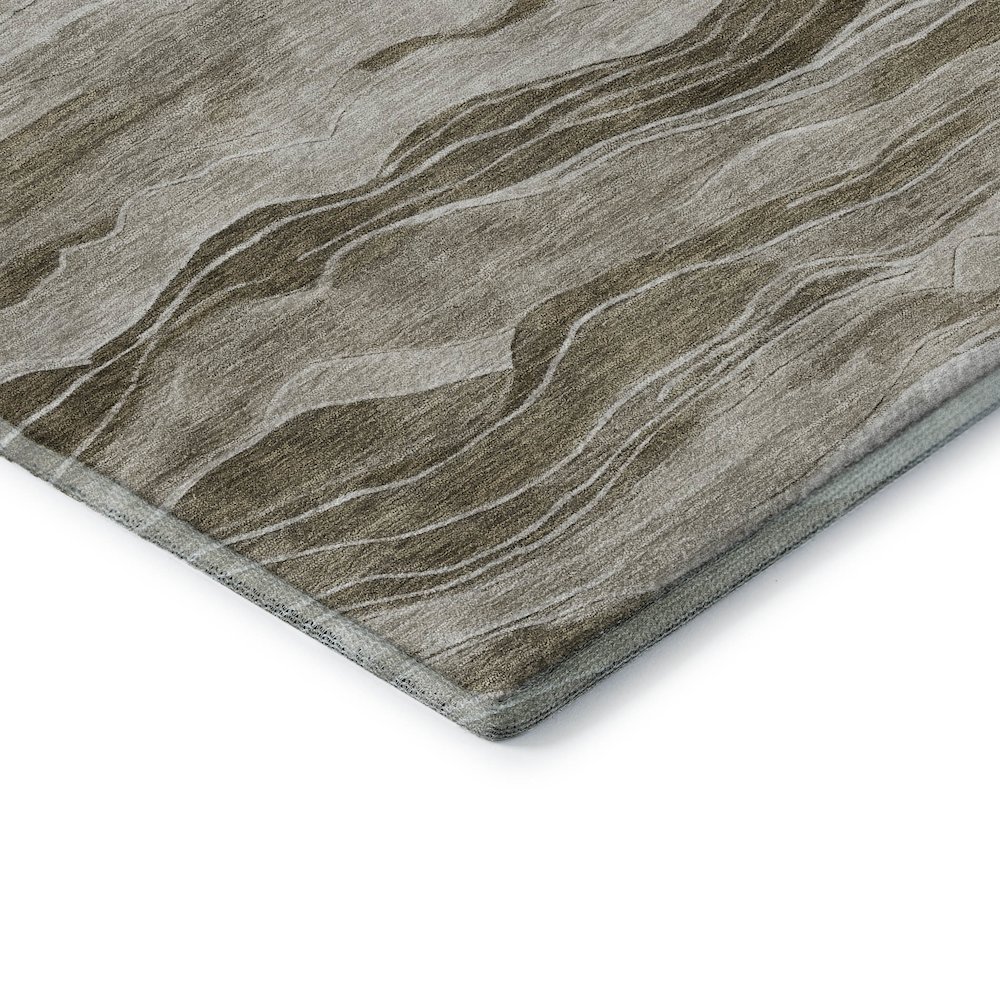 Machine Washable Indoor/Outdoor Pacifica Brown 3' x 5' Rug. Picture 2