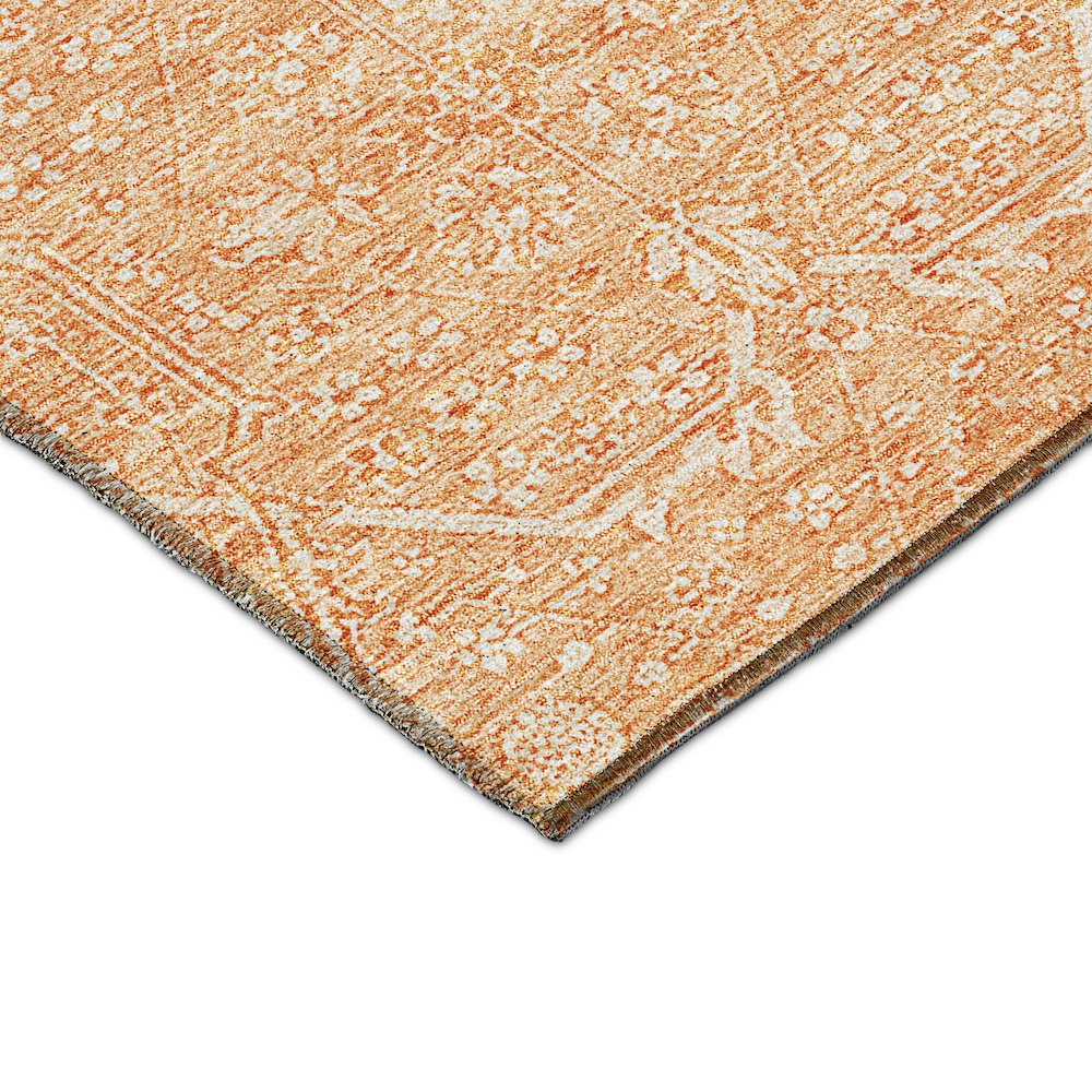 Luxury Washable Indoor/Outdoor Solace Salmon 3' x 5' Rug. Picture 2