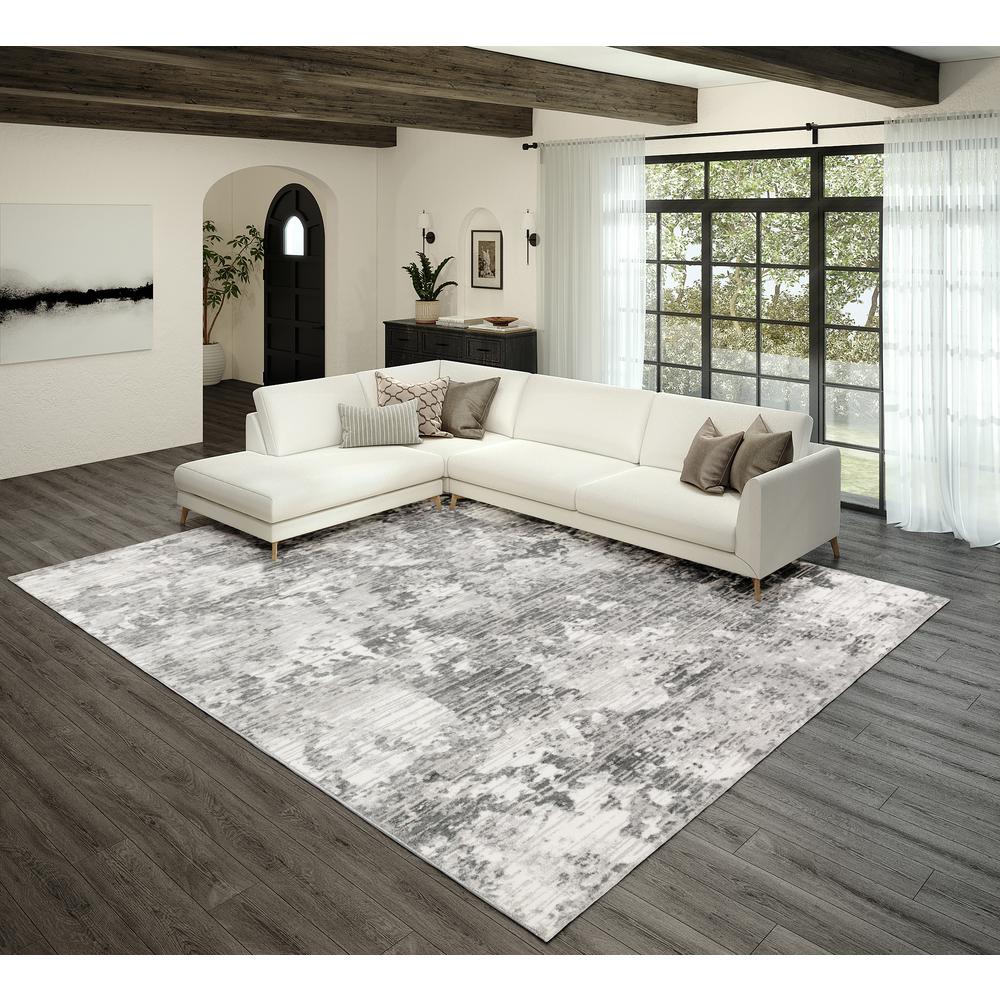 Rhodes RR4 Gray 9' x 13' Rug. Picture 2