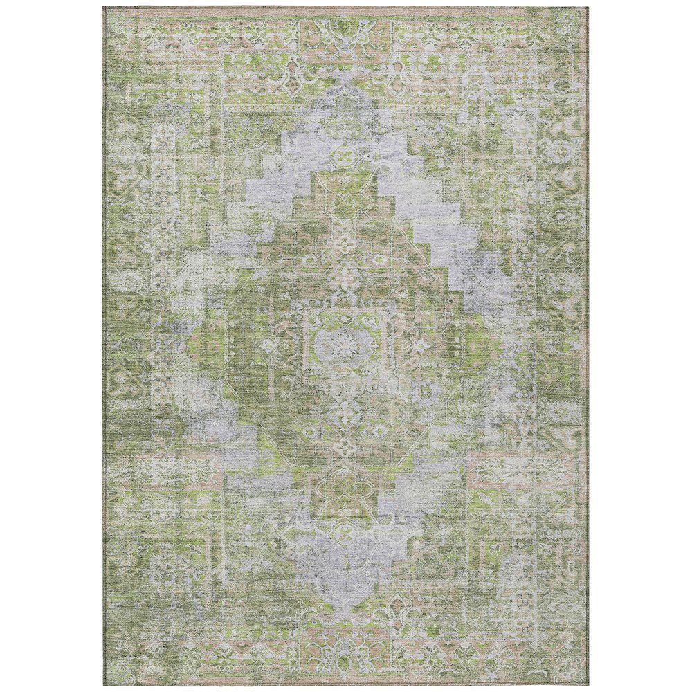 Machine Washable Indoor/Outdoor Chantille ACN2140 Aloe 9' x 12' Rug. Picture 1