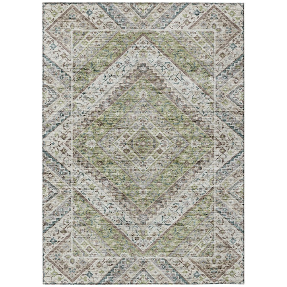 Machine Washable Indoor/Outdoor Chantille ACN2195 Aloe 9' x 12' Rug. Picture 1