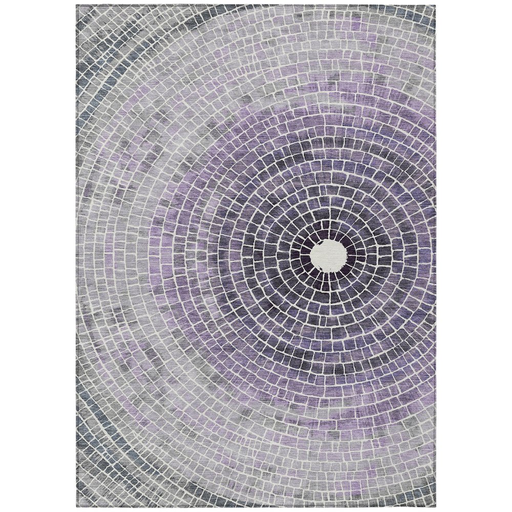 Machine Washable Indoor/Outdoor Chantille ACN2524 Purple 9' x 12' Rug. Picture 1