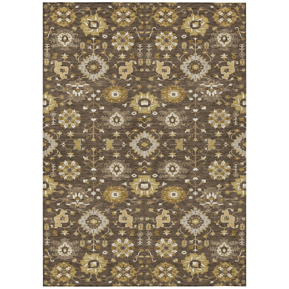 Machine Washable Indoor/Outdoor Chantille ACN2610 Brown 9' x 12' Rug. Picture 1