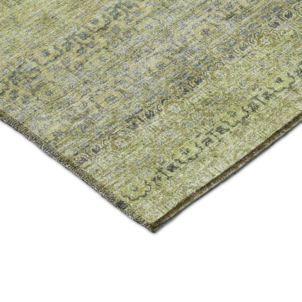 Luxury Washable Indoor/Outdoor Burano Aloe 5' x 7'6" Rug. Picture 2