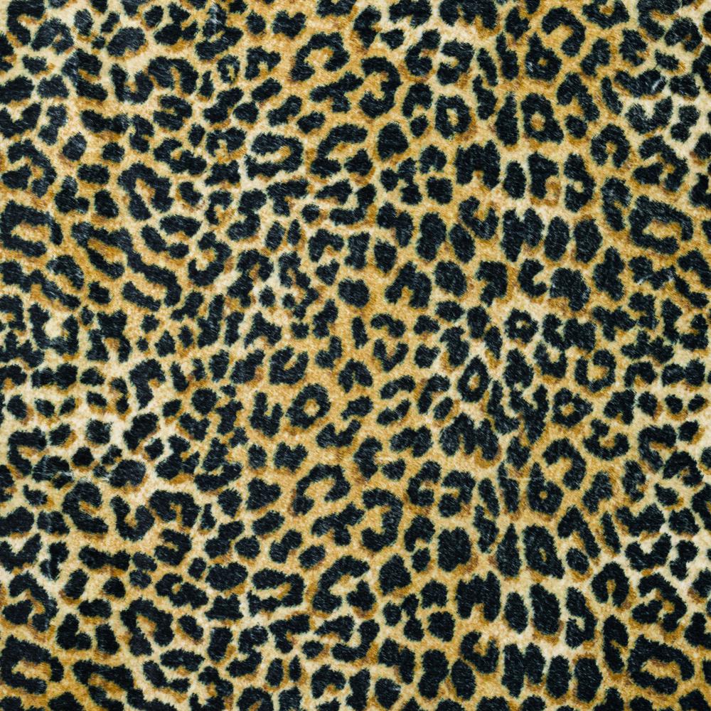 Akina AK2 Gold 8' x 10' Rug. Picture 3