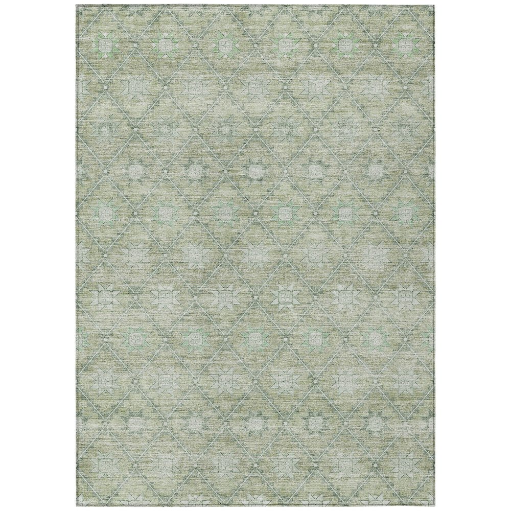 Machine Washable Indoor/Outdoor Chantille Aloe 10' x 14' Rug. Picture 1