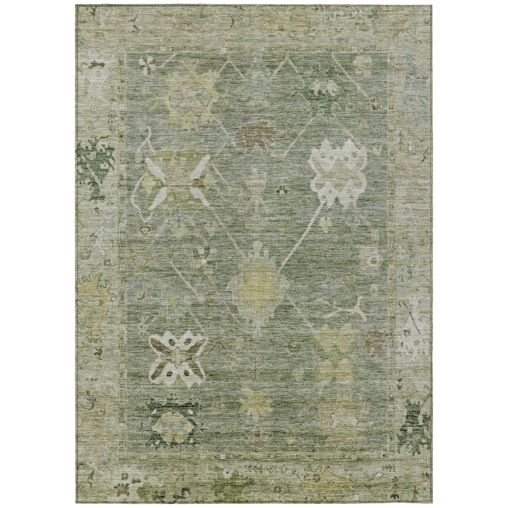 Machine Washable Indoor/Outdoor Chantille ACN2025 Sage 10' x 14' Rug. Picture 1