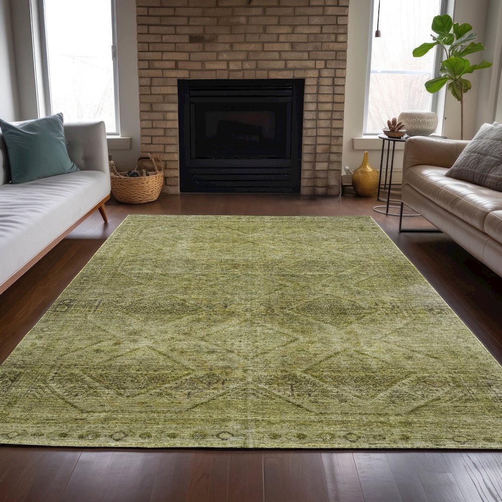 Machine Washable Indoor/Outdoor Chantille ACN2060 Aloe 10' x 14' Rug. Picture 6