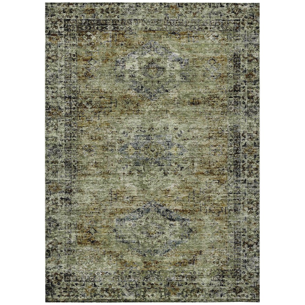 Machine Washable Indoor/Outdoor Chantille ACN2170 Aloe 10' x 14' Rug. Picture 1