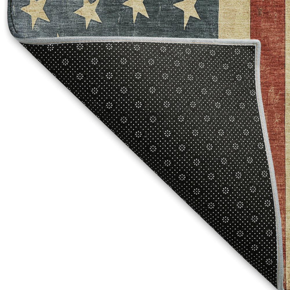 Machine Washable Indoor/Outdoor Americana Red 8' x 10' Rug. Picture 4