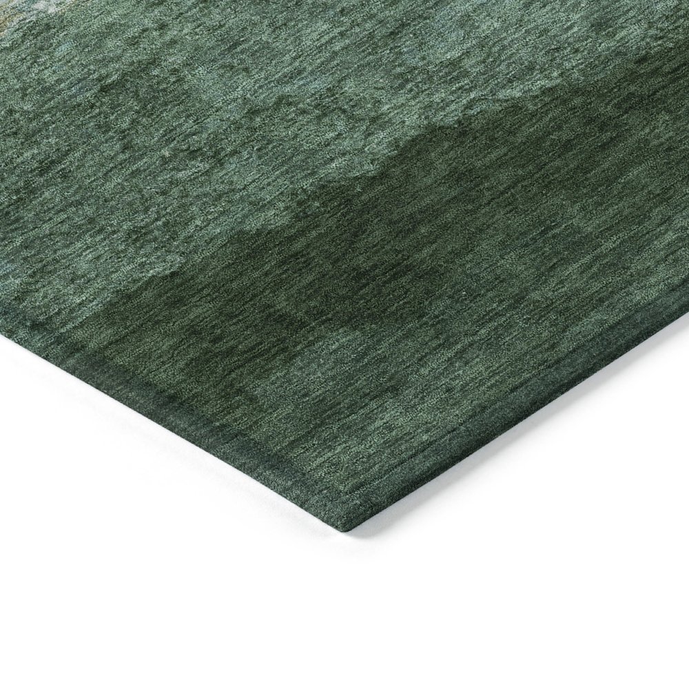 Machine Washable Indoor/Outdoor Chantille ACN2169 Fern 8' x 10' Rug. Picture 3
