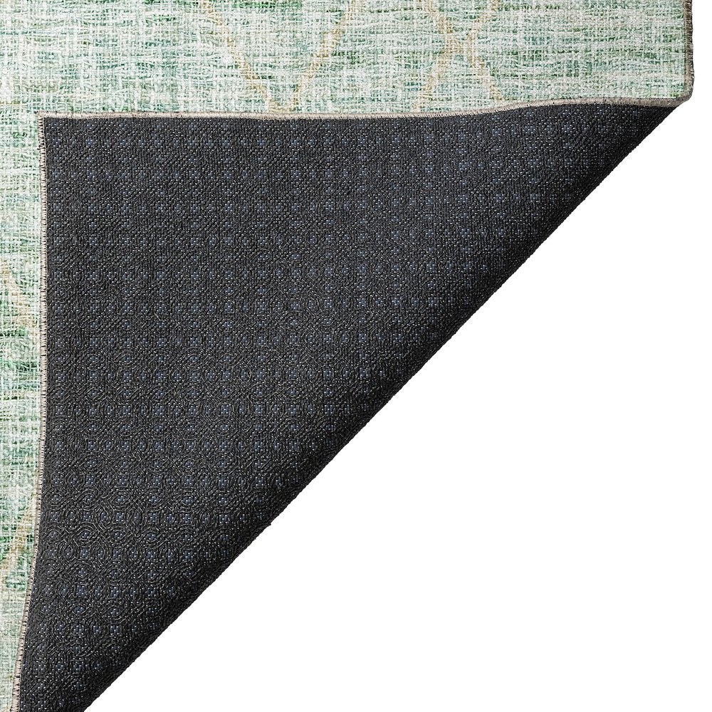 Luxury Washable Indoor/Outdoor Portico Aloe 8' x 10' Rug. Picture 4