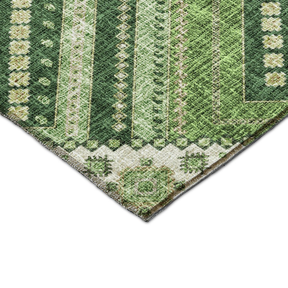 Luxury Washable Indoor/Outdoor Portico Green 8' x 10' Rug. Picture 2
