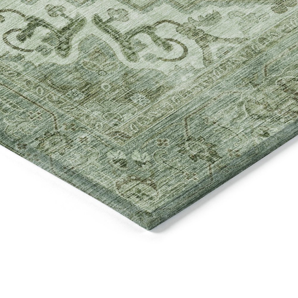 Machine Washable Indoor/Outdoor Chantille ACN2164 Aloe 9' x 12' Rug. Picture 3