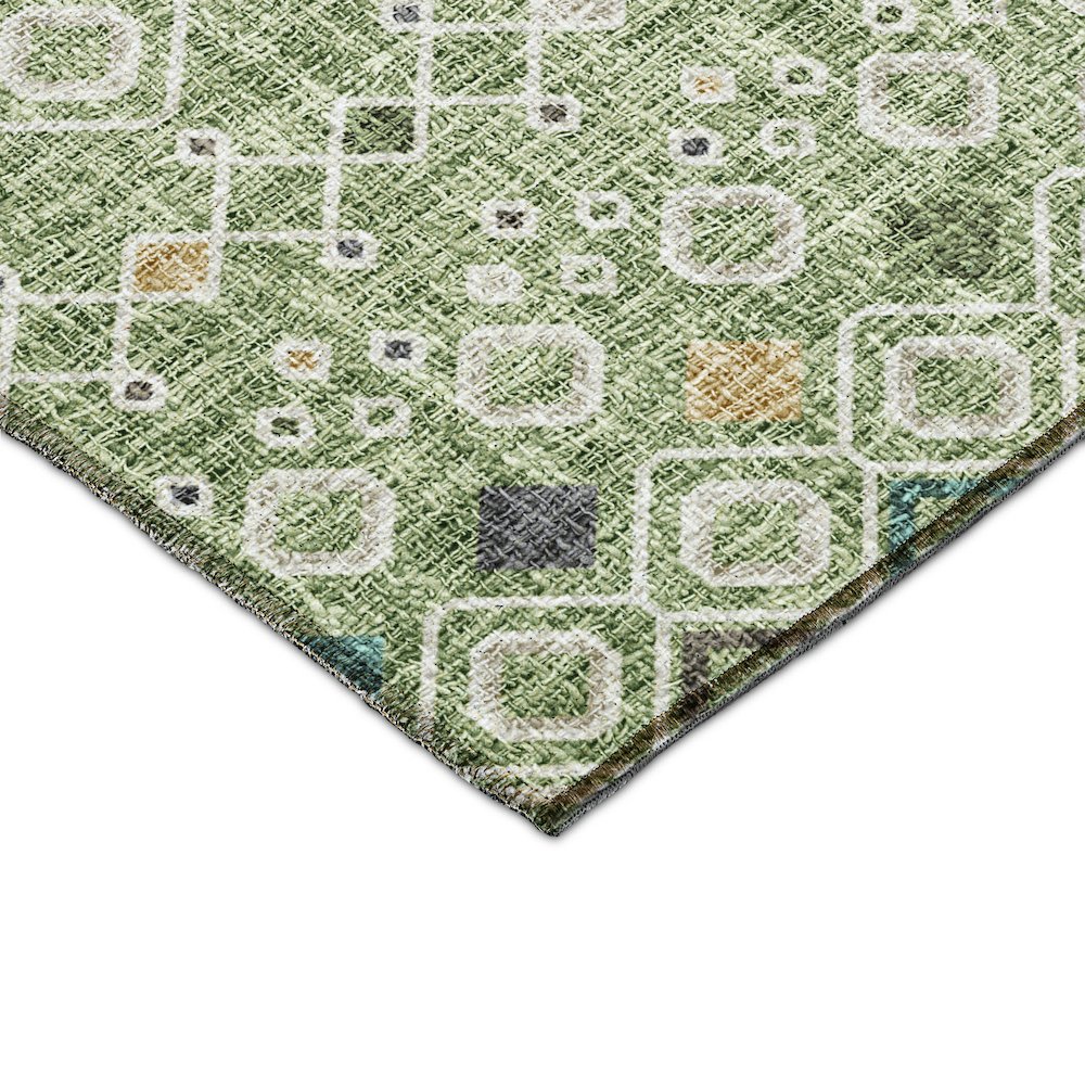 Luxury Washable Indoor/Outdoor Portico Aloe 9' x 12' Rug. Picture 2