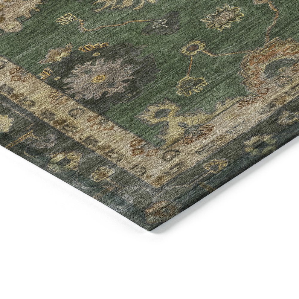 Machine Washable Indoor/Outdoor Chantille ACN2045 Fern 10' x 14' Rug. Picture 3