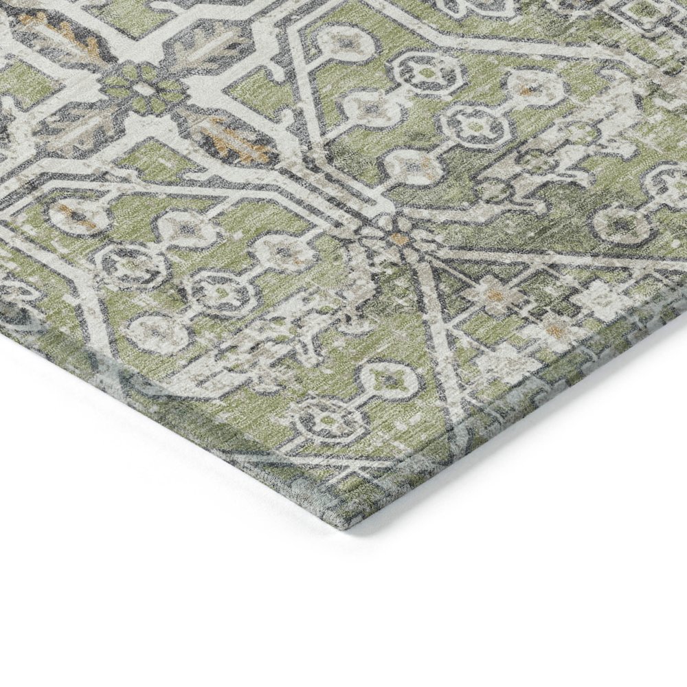 Machine Washable Indoor/Outdoor Chantille ACN2197 Aloe 10' x 14' Rug. Picture 3
