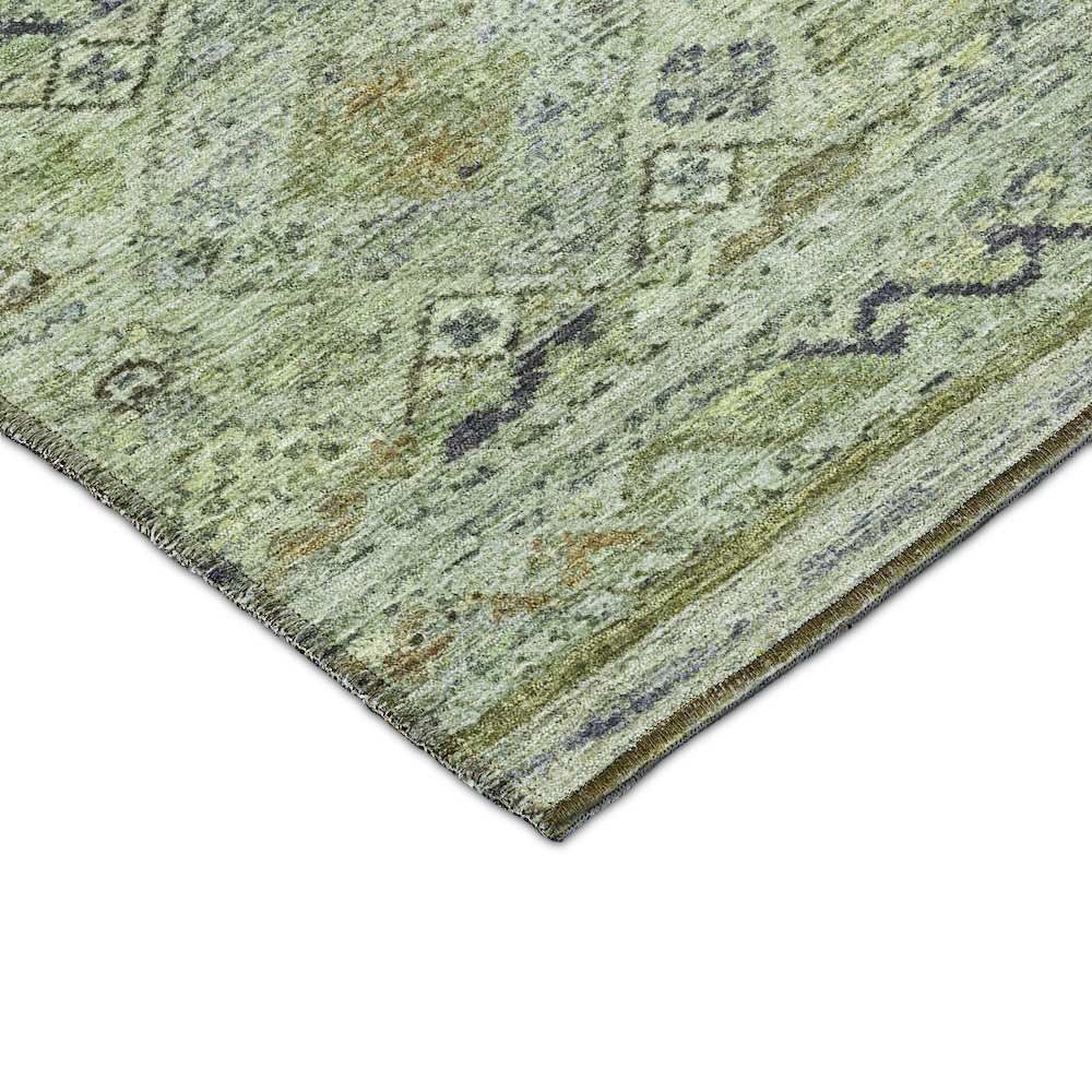 Indoor/Outdoor Karaj Aloe 10' x 14' Rug. Picture 2
