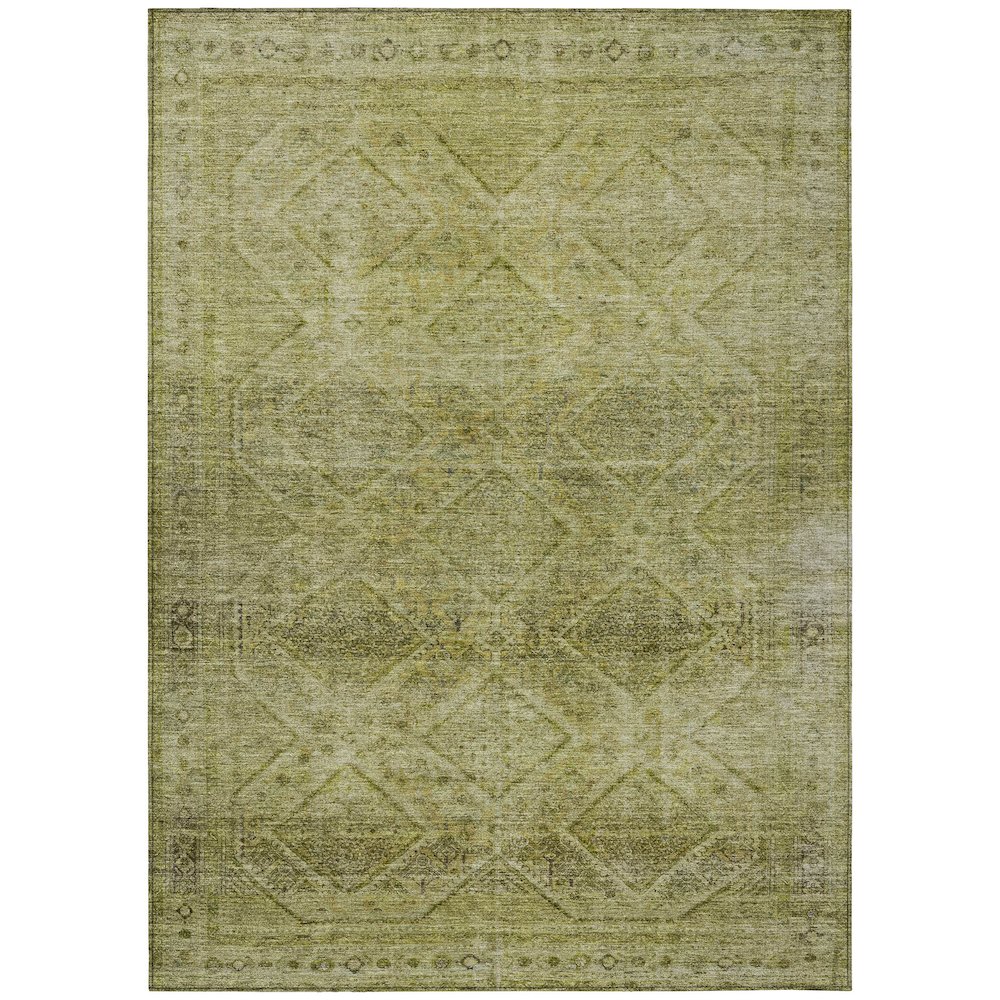 Machine Washable Indoor/Outdoor Chantille ACN2060 Aloe 2'6" x 3'10" Rug. Picture 1
