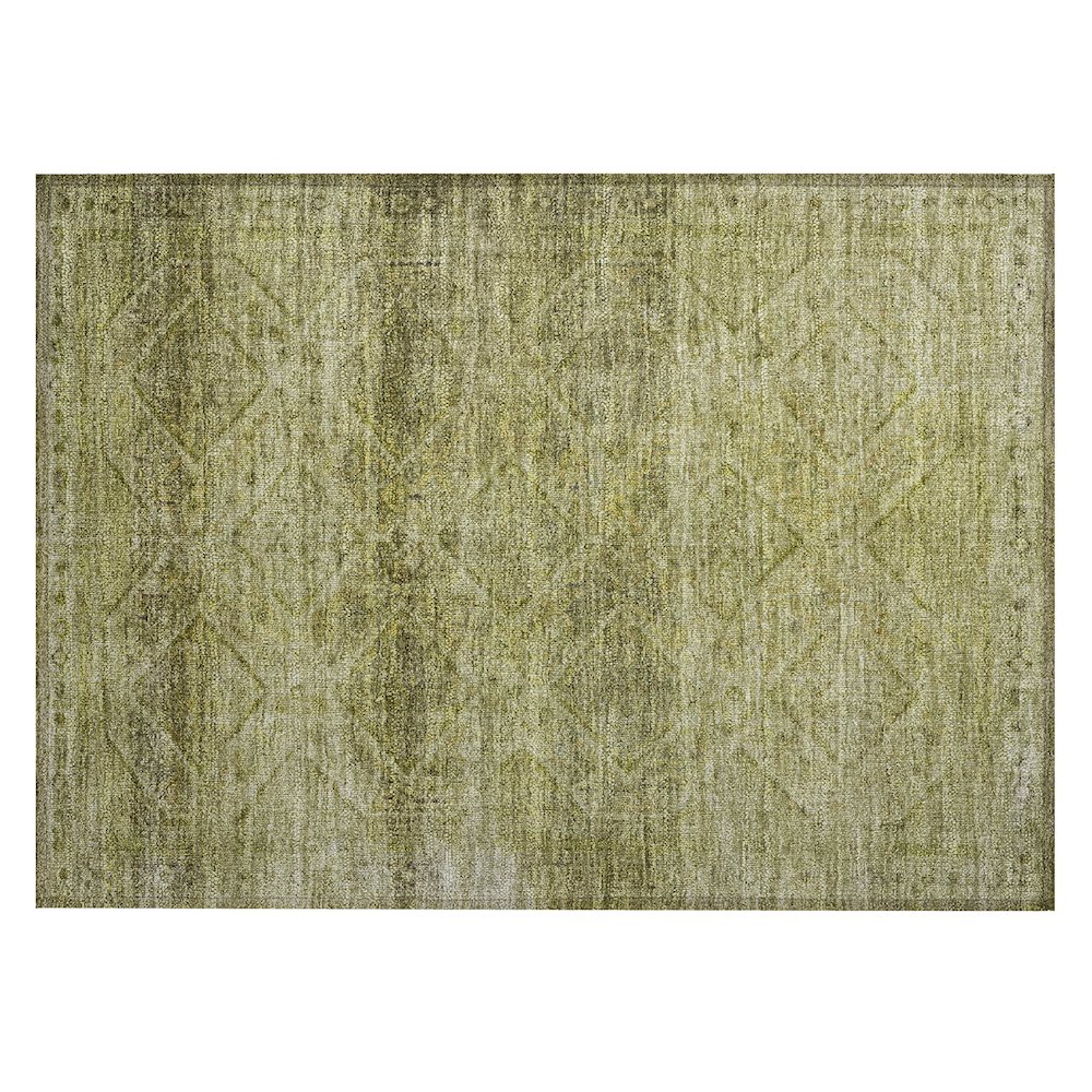 Machine Washable Indoor/Outdoor Chantille ACN2060 Aloe 1'8" x 2'6" Rug. Picture 1