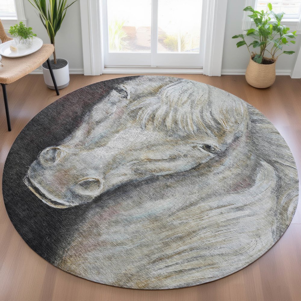 Machine Washable Indoor/Outdoor Chantille ACN2080 Ivory 8' x 8' Round Rug. Picture 5